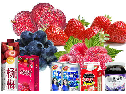 蓝莓.树莓.草莓加工生产线